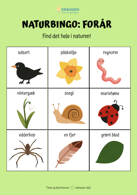 Naturbingo om forår på Idekassen