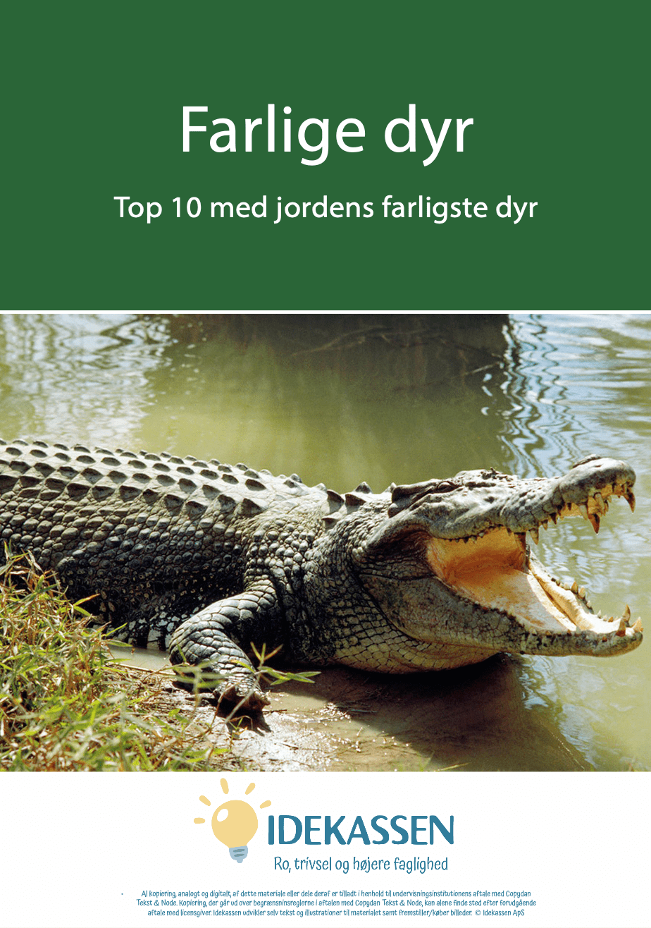 Farlige dyr - Idekassen